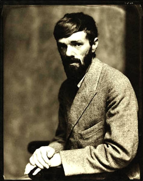dhlawrence